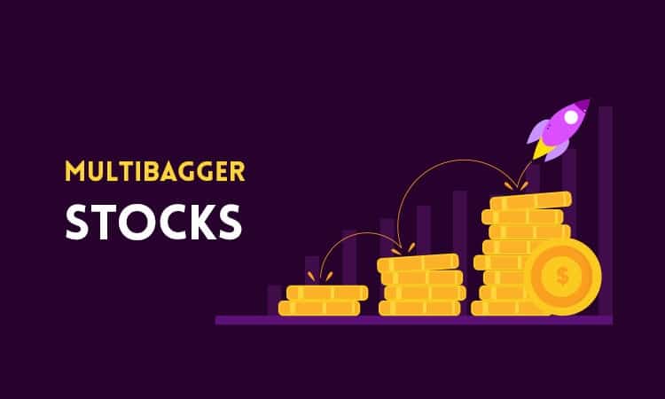 Multibagger Stocks 2019 Having Ideal Knowledge Is Essential Buzzcnn 5160